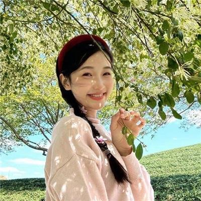 倒霉熊之茶杯旅行记